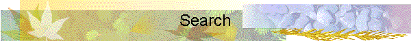 Search