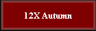 12X Autumn