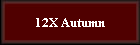 12X Autumn