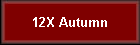 12X Autumn