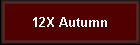 12X Autumn