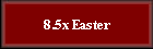 8.5x Easter