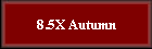 8.5X Autumn