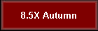 8.5X Autumn