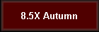 8.5X Autumn