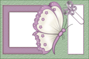 Free Spring Butterfly Photo Greeint Card Scrapbook Download